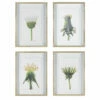 Uttermost Wildflowers Gold Framed Prints, S/4 Accessories