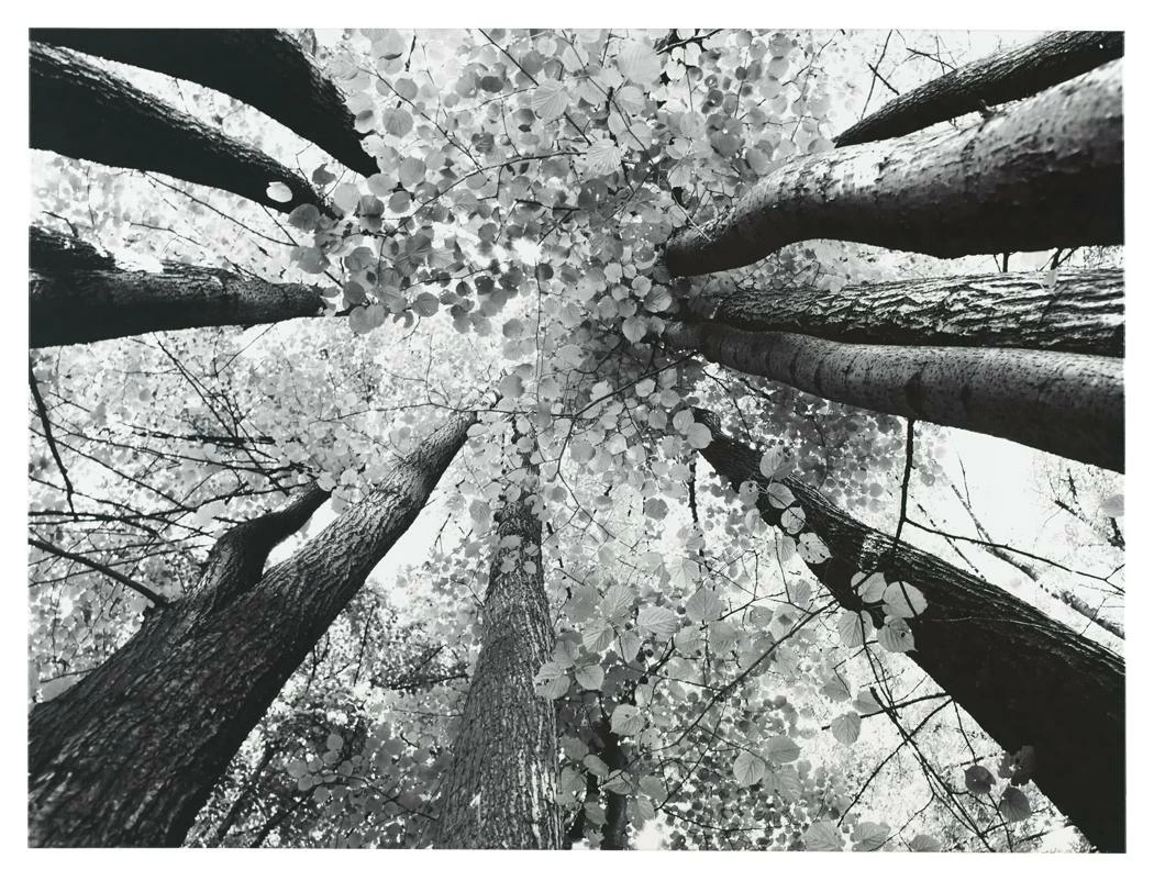 Coupon ๐ฏ Ashley Furniture Ananya - Black/white - Wall Art Accessories ๐ 3 Ashley Furniture Ananya - Black/white - Wall Art Accessories