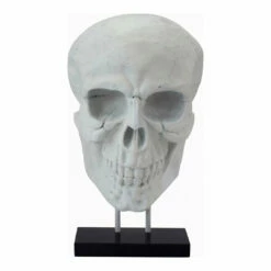 Moe's Home Collection Braincase Skull Statue White Table Decor