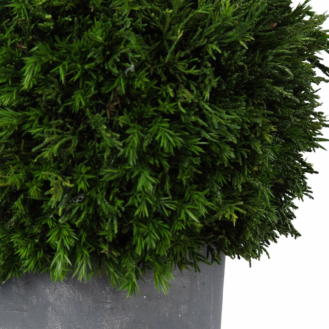 Wholesale ๐ Accessories Uttermost Cypress Globes, S/2 ๐ 5 Accessories Uttermost Cypress Globes, S/2