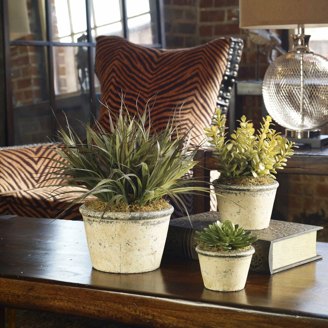 Best Sale โ๏ธ Uttermost La Costa Greenery, Set/3 ๐ 4 Uttermost La Costa Greenery, Set/3