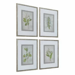 Uttermost Stem Study Framed Prints Set/4