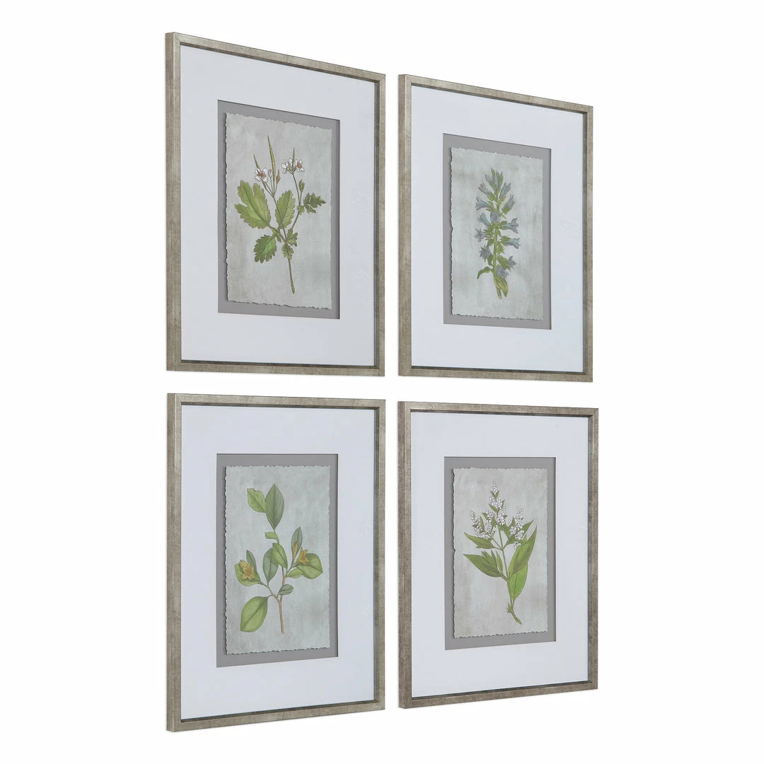 Best deal ๐ Uttermost Stem Study Framed Prints Set/4 โค๏ธ 4 Uttermost Stem Study Framed Prints Set/4