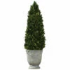 Coupon โญ Uttermost Boxwood Cone Topiary Accessories ๐ 1 Uttermost Boxwood Cone Topiary Accessories
