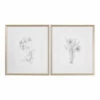 Accessories Uttermost Botanical Sketches Framed Prints S/2