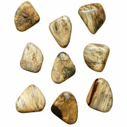 Uttermost Pebbles Blonde Wood Wall Décor, S/9 Accessories