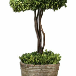 Uttermost Tree Topiary Preserved Boxwood Accessories