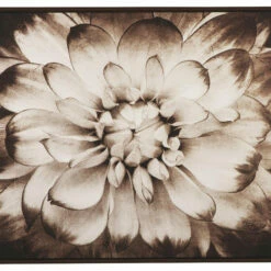 Ashley Furniture Phiala - Brown - Wall Art Accessories