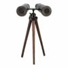 Moe's Home Collection Binoculars Bronze