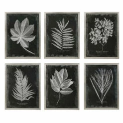 Uttermost Foliage Framed Prints, S/6 Accessories