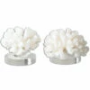Uttermost Hard Coral Sculptures, S/2 Table Decor