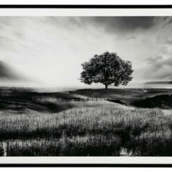 Ashley Furniture Deborland - Black/white - Wall Art Accessories