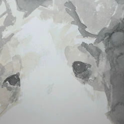 Uttermost Modern Dogs Framed Prints, S/4 Accessories