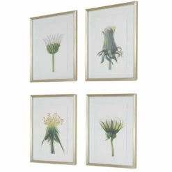 Uttermost Wildflowers Gold Framed Prints, S/4 Accessories