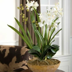 Uttermost Moth Orchid Planter Accessories