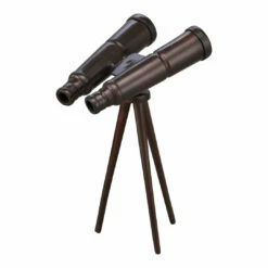 Moe's Home Collection Binoculars Bronze