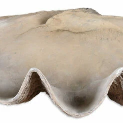 Table Decor Uttermost Clam Shell Bowl