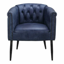 Moe's Home Collection Shapkin Leather Arm Chair