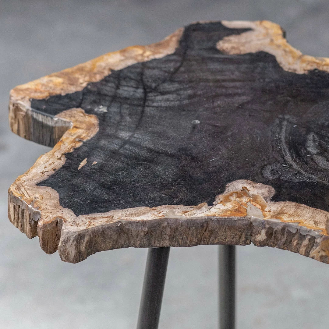 Flash Sale 👍 Tables Uttermost Mircea Petrified Wood Accent Table 🧨 6 Tables Uttermost Mircea Petrified Wood Accent Table