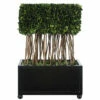 Accessories Uttermost Preserved Boxwood Rectangular Topiary