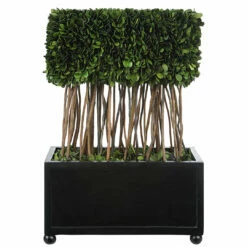 Accessories Uttermost Preserved Boxwood Rectangular Topiary