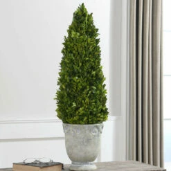 Uttermost Boxwood Cone Topiary Accessories