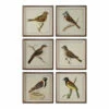 Buy 😍 Uttermost Spring Soldiers Bird Prints, S/6 🔔 1 Uttermost Spring Soldiers Bird Prints, S/6