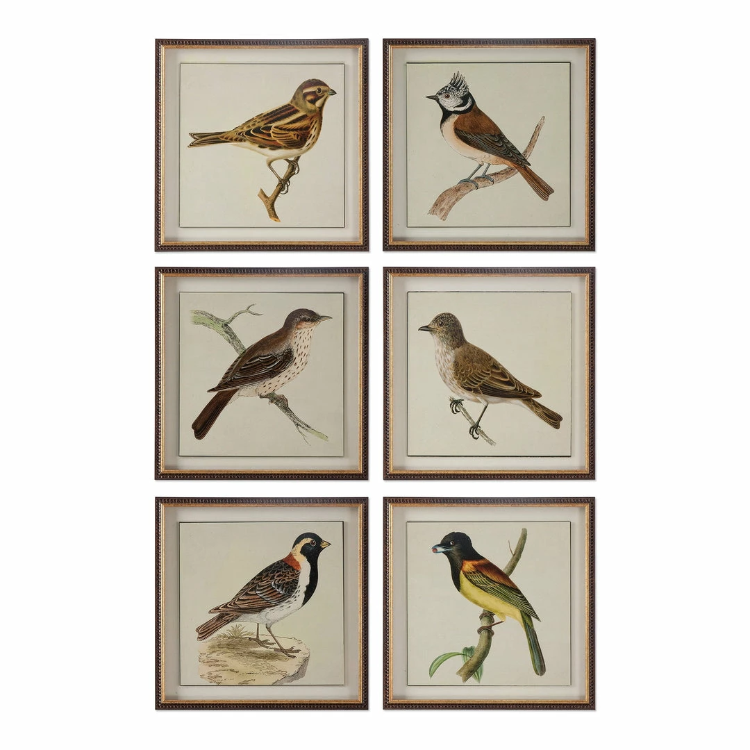 Buy ๐ Uttermost Spring Soldiers Bird Prints, S/6 ๐ 3 Uttermost Spring Soldiers Bird Prints, S/6