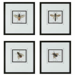 Accessories Uttermost Anthophila Framed Prints, S/4