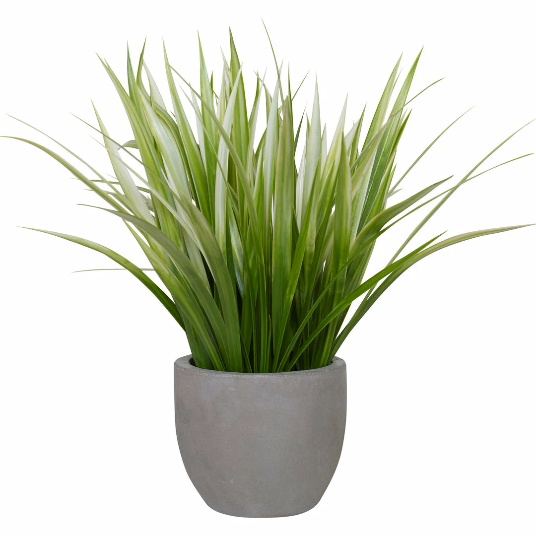 Coupon ✨ Accessories Uttermost Dracaena Grass In Gray Planter 💯 3 Accessories Uttermost Dracaena Grass In Gray Planter