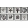 Uttermost Sea Living Framed Prints, S/8