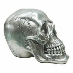 Moe's Home Collection Table Decor Yorick Skull Gun Metal