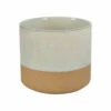 Moe's Home Collection Rustica Planter 7.75in White