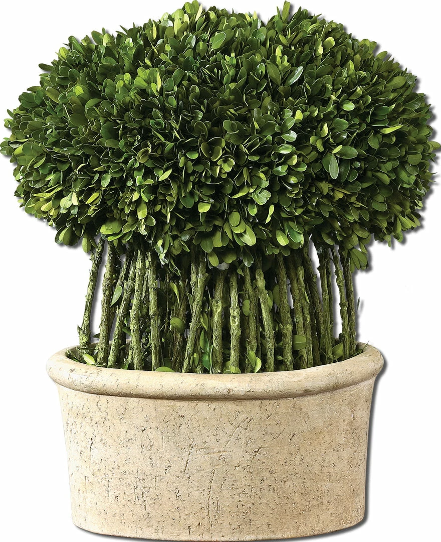 New ๐ Uttermost Willow Topiary Preserved Boxwood โจ 3 Uttermost Willow Topiary Preserved Boxwood