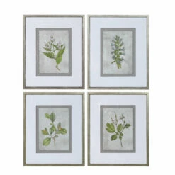 Uttermost Stem Study Framed Prints Set/4
