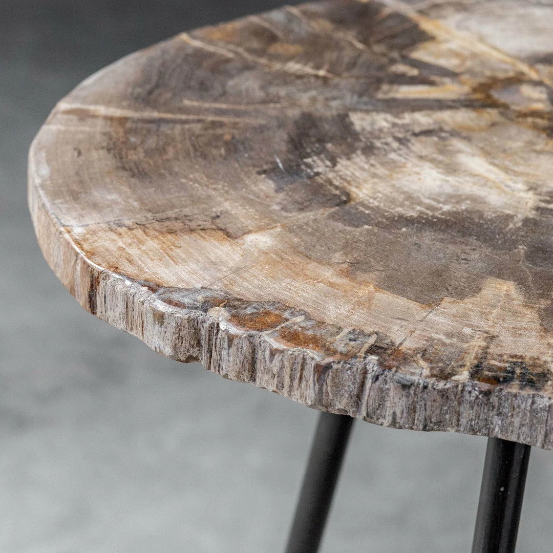 Flash Sale 👍 Tables Uttermost Mircea Petrified Wood Accent Table 🧨 9 Tables Uttermost Mircea Petrified Wood Accent Table