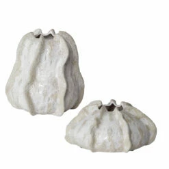 Uttermost Urchin Textured Ivory Vases, S/2 Table Decor