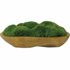 Uttermost Kinsale Moss Centerpiece Accessories