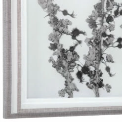 Uttermost Contemporary Botanicals Framed Prints, S/12