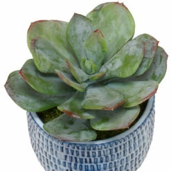 Uttermost Puebla Greenery In Blue & White Pots, S/3 Accessories