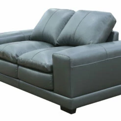 Primo Perfect Promotions! Stylish Low Profile Loveseat