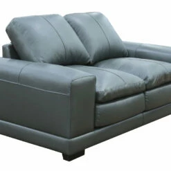 Primo Perfect Promotions! Stylish Low Profile Loveseat