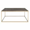 Uttermost Trebon Modern Coffee Table Tables