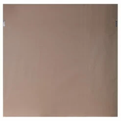 Uttermost Dandelion Seedhead Framed Print