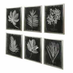 Uttermost Foliage Framed Prints, S/6 Accessories