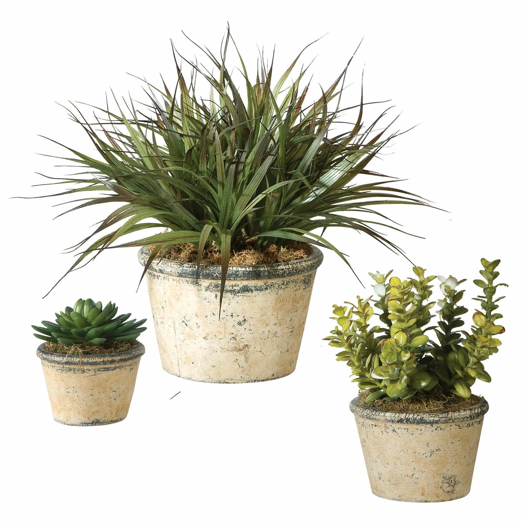 Best Sale โ๏ธ Uttermost La Costa Greenery, Set/3 ๐ 3 Uttermost La Costa Greenery, Set/3