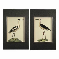Uttermost Birds On The Shore Prints, S/2 Accessories