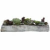 Uttermost Charita Lush Succulents Accessories