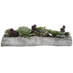 Uttermost Charita Lush Succulents Accessories