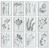 Uttermost Contemporary Botanicals Framed Prints, S/12